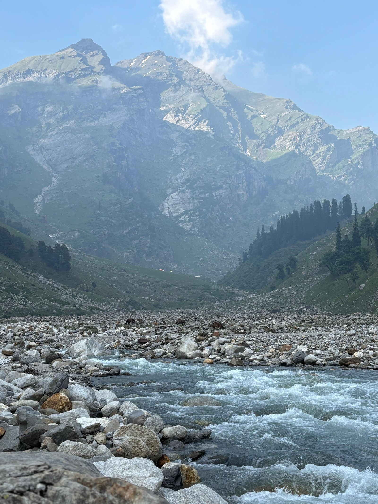 Himachal Pradesh